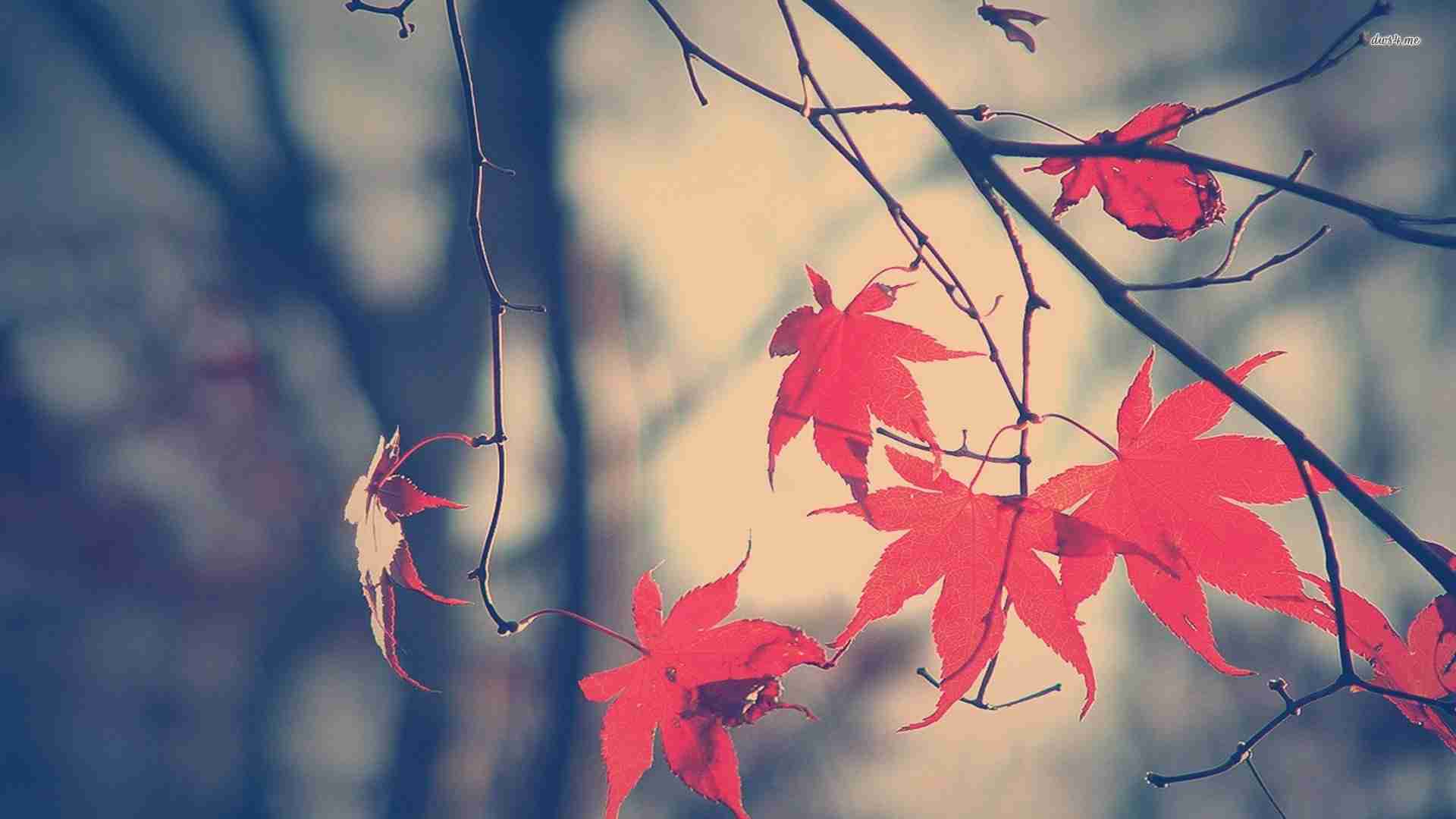 banner1